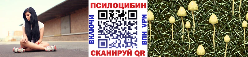 Галлюциногенные грибы Psilocybine cubensis  где купить   MEGA маркетплейс  Советская Гавань 